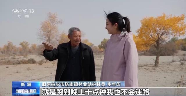 你在胡杨林下载歌载舞 他们在守护这些“沙漠英雄树”