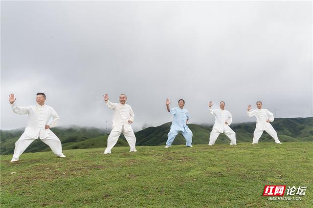 【每日一图@湖南】邵阳城步南山牧场：生态画卷里的活力乐章