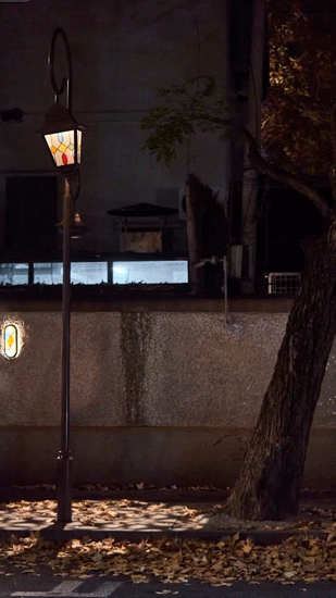 “今年元旦！我来静安只做1件事 ”