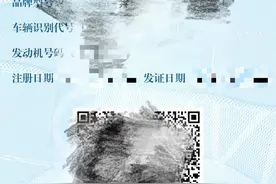 申领快用途广 电子行驶证来了图片