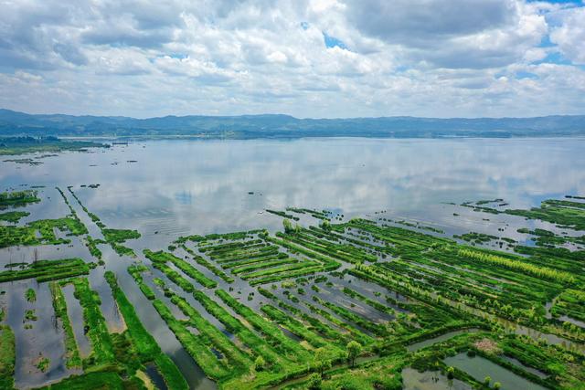 三伏天18℃，避暑“冷极”！快来体验贵州威宁高原“生态空调”！