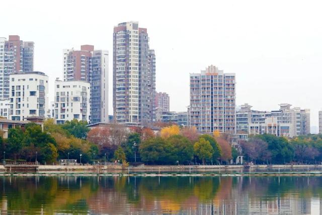 人少景美！洪山5处打卡地，周末约起