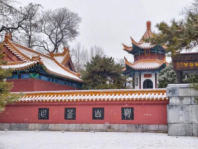 看！徐州最美雪照，每张都可做屏保！