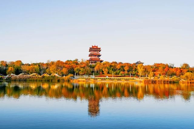 郑州航空港，真不只会“飞”！