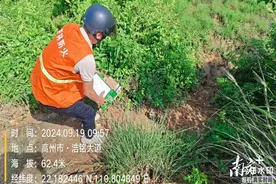 潭头镇群众第11次向遇险保护动物伸出援手，这次是白额角鸮图片