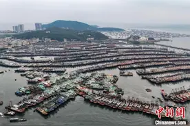 台风“摩羯”逼近粤琼 广东阳江海上作业渔船回港避风图片