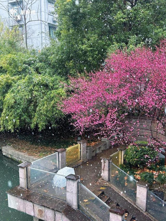 春节浙江人去哪玩？分享你的独家年味，赢潮新闻独家展示位