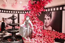 经历过父亲的“遗弃”，二战中为游击队传递情报，原来你是这样的奥黛丽·赫本图片