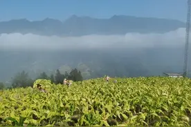 一路同行“乡”约振兴图片