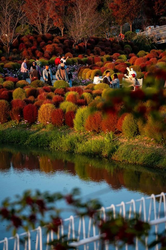 现在的金山是什么颜色？答案藏在这片…