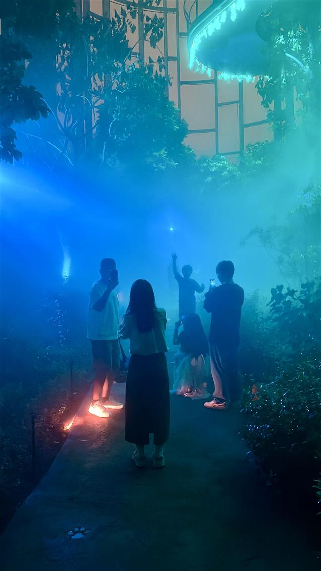 下雨也挡不住看露天电影的热情！上海世博文化公园昨晚点亮“璀璨之夜”