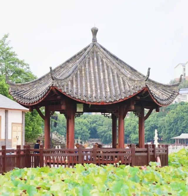 纪信广场+莲花湖公园，藏在你身边的“城市慢生活”图鉴！