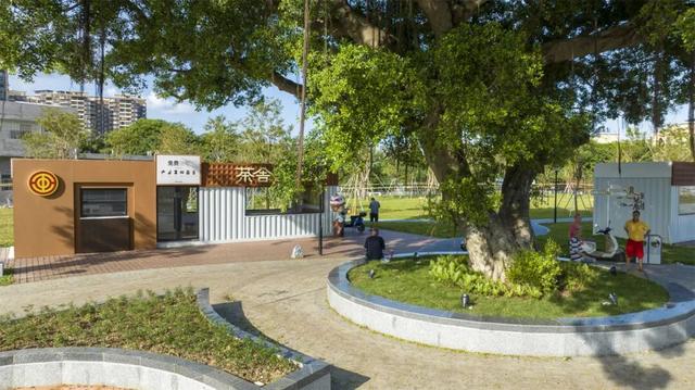 运动、遛娃、拍照全安排！东莞人“家门口”又上新了