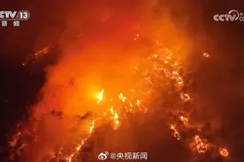 过火面积超8700公顷！韩国山火因强风来袭难以扑灭图片