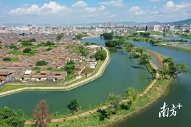“党建红”辉映“乡村绿”！汕头潮南擂响乡村绿化奋进战鼓图片