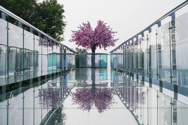 爆汁预警！廉江红橙限定版采摘路线→