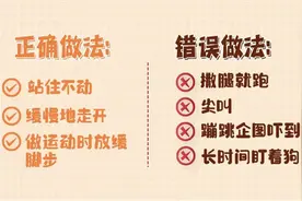 被狗咬住怎么办？这方法能保命→图片
