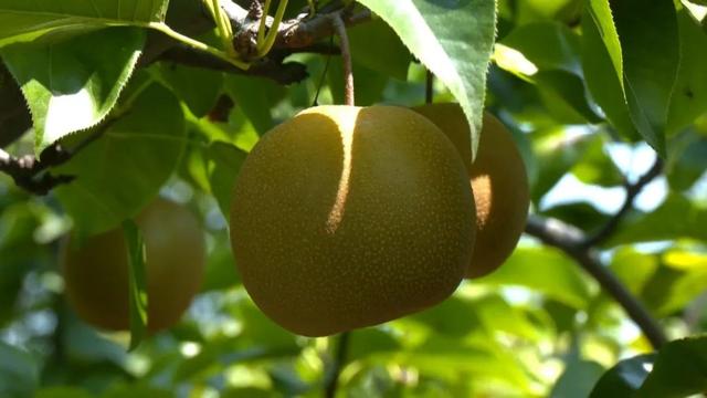 @荆州人，快来打开你的夏日限定相册！