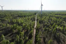 沙洲植绿记丨“以光锁沙”——治沙里的“双碳”目标图片