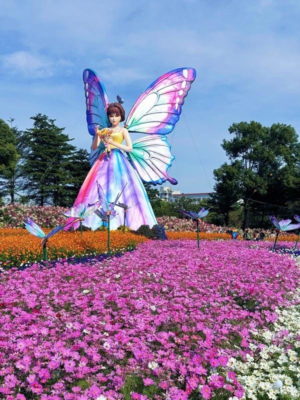 菊艺融新潮，花海迎宾客 2025年小榄菊花会开幕