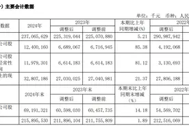 V观财报｜中国铝业2024年净利润同比增85.38%图片