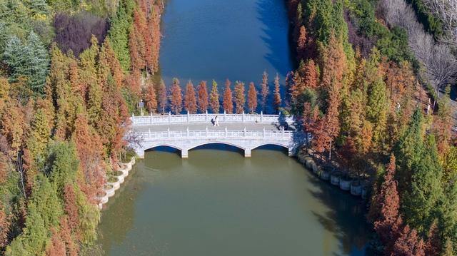河南洛阳：伊河国家湿地公园冬景美如画