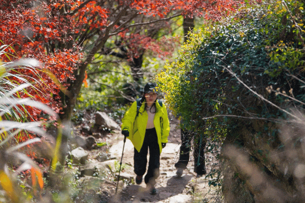 Hi走奉化③ | 拿下最高峰！蜘蛛岭古道虽累，但这秋色值了！