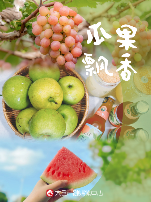 8月，要来一趟太仓吗？