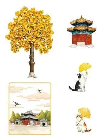 绝美！北京秋季颜值已达巅峰！这样定格最美秋天！