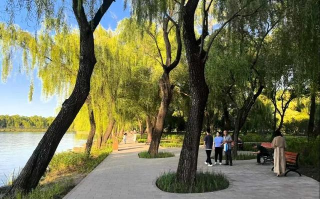 颐和园恢复6条重要观景视廊，昆明湖南岸焕新