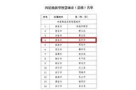全省县级市第一名！胶州市获评山东省四星级新型智慧城市图片