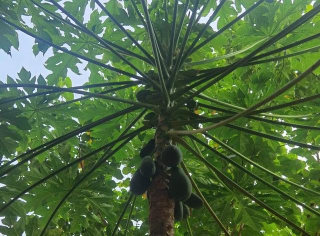 趁秋色浪漫，见一面吧