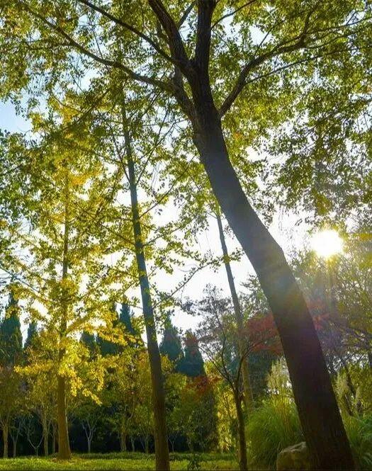 宿城，已经美成这样！