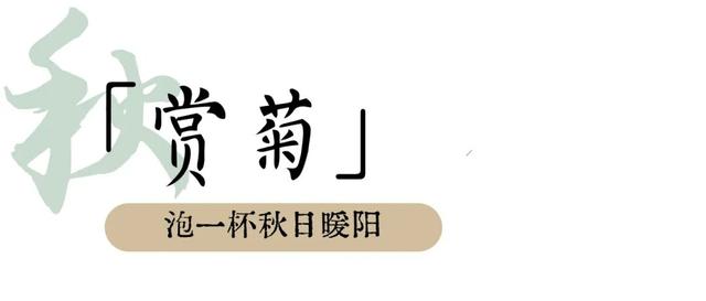 秋日“上”策！“顶级”仪式感做这些就够