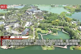 武汉动物园今迎5000名游客：满眼花园庭院式“阔气豪宅”，见与不见动物说了算！图片