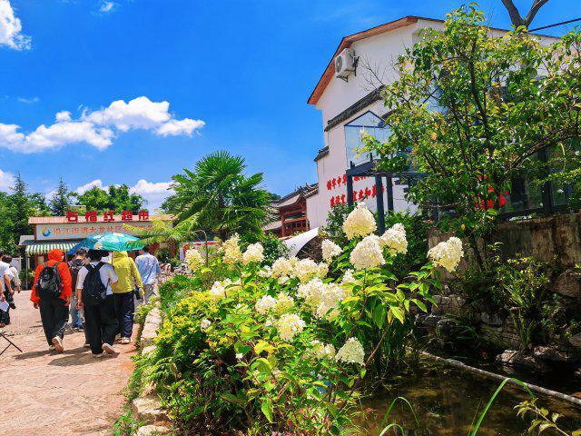 【云新发布】曲靖诚邀四海宾朋赴珠江源头乐享19.7℃的夏天