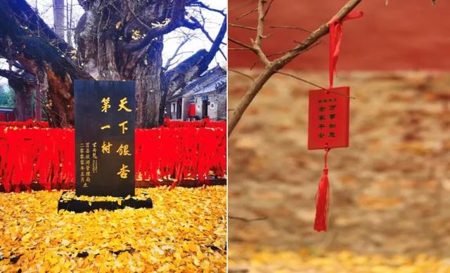 超值权益又上新啦！16家热门打卡点！