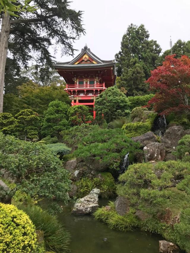 2025 再访旧金山