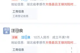 工商所从镇政府获取个人身份信息！上百村民被冒名注册营业执照，官方通报图片