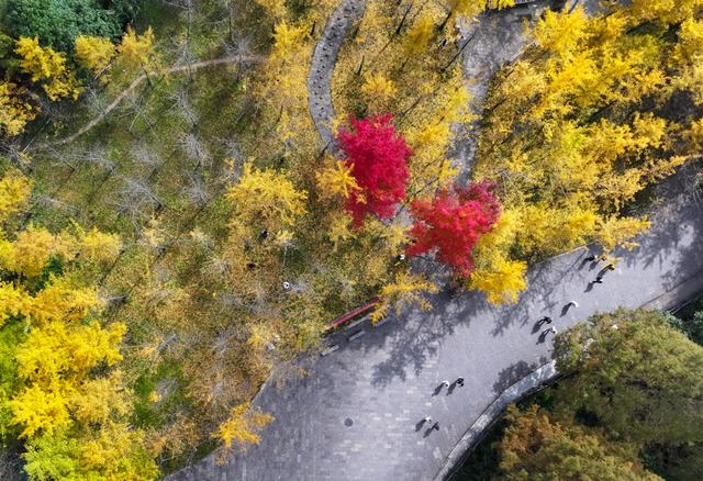 湖南张家界：色彩斑斓天子山