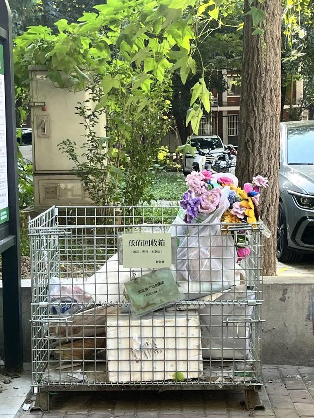 给垃圾找“家”，让娃娃当家，展览路街道“童心共治”破解垃圾分类难题