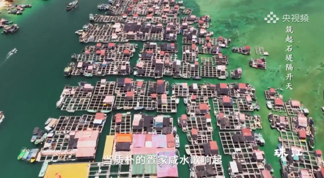 《珠江》里，藏着这么多广州海珠“宝藏”