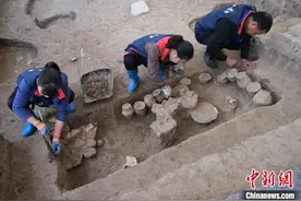 浙江下汤遗址发现40年 揭开万年前原始村落神秘面纱图片