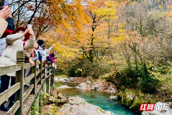 岁暖时刻丨光雾山诺水河那片秋末初冬的景色好撩人