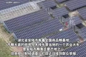 耗资800多万元建高标准农田，两年后推倒建设光伏电站，当地百姓既心酸又无奈...图片