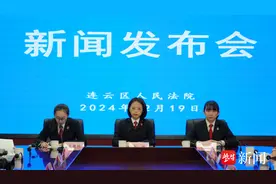 晒一晒中国（江苏）自由贸易试验区连云港片区法庭履职三周年成绩单图片