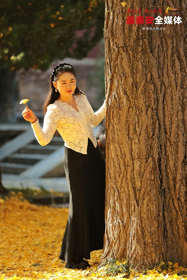 千年岱庙 一庭秋色