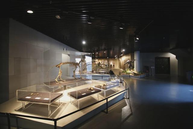 博物风情 | 在周口店遗址，遇见课本之外的历史