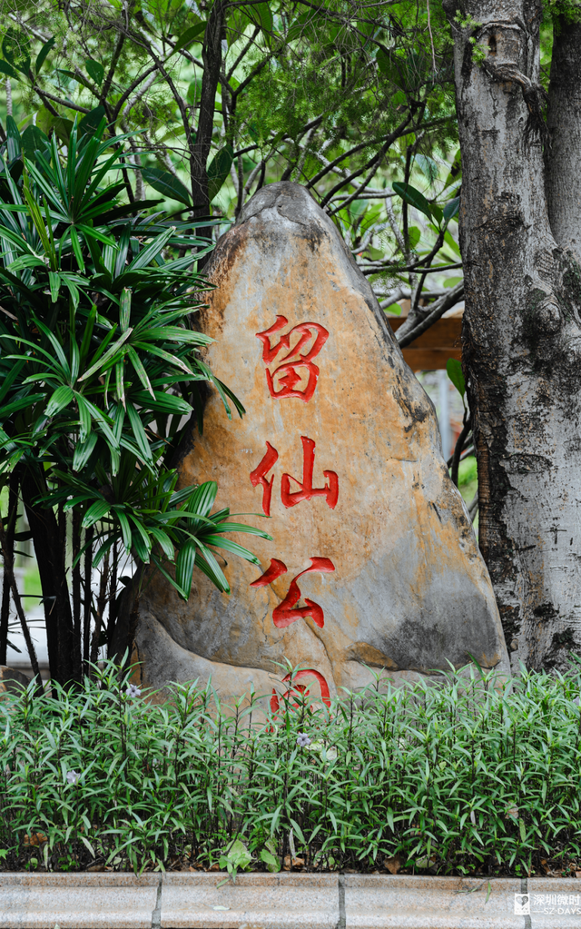 留仙洞，没有仙，只有人人人人人人