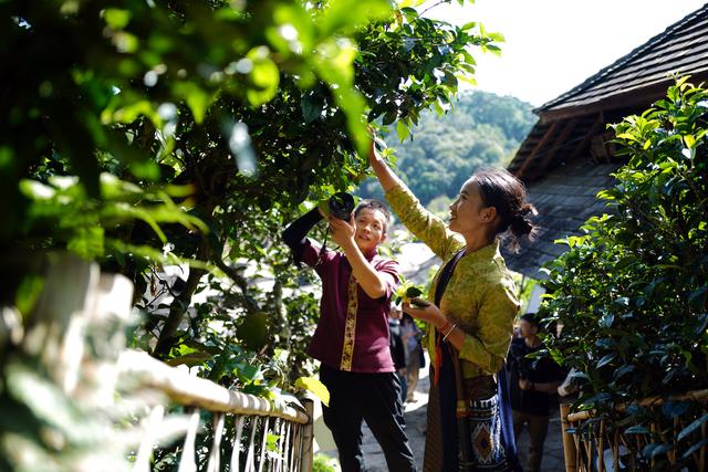 云新闻观察 | 景迈山的回答